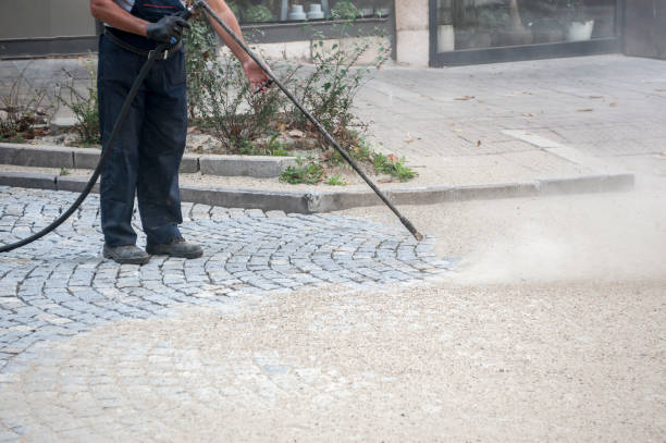 Best Building Exterior Washing  in Grayvle, IL